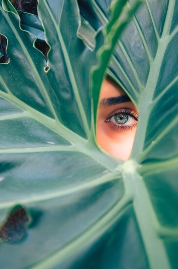 Frau guckt durch ein Blatt